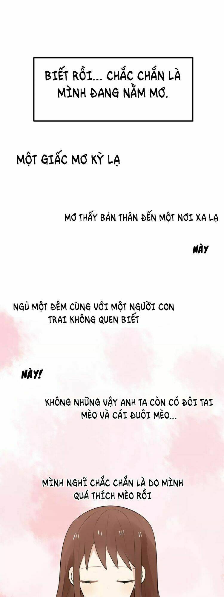 Tiểu Miêu Và Hắc Diệu Thạch: Chapter 1