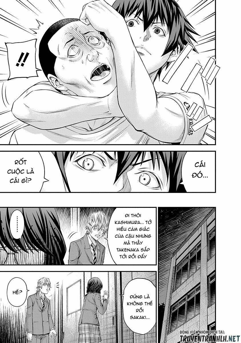 Signal 100: Chapter 17