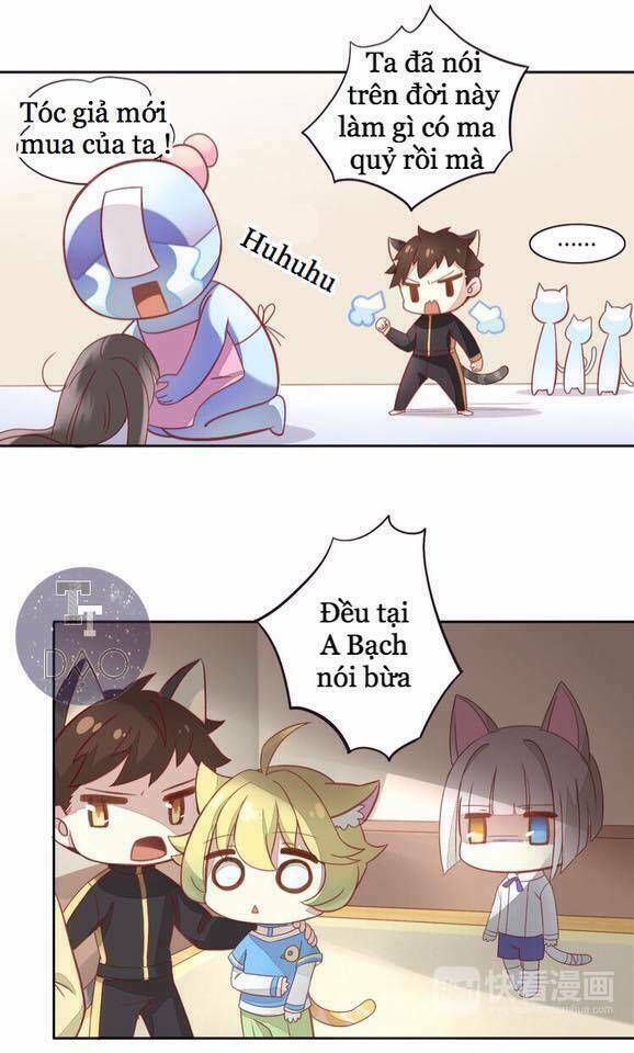 Dưới Móng Vuốt Mèo: Chapter 4