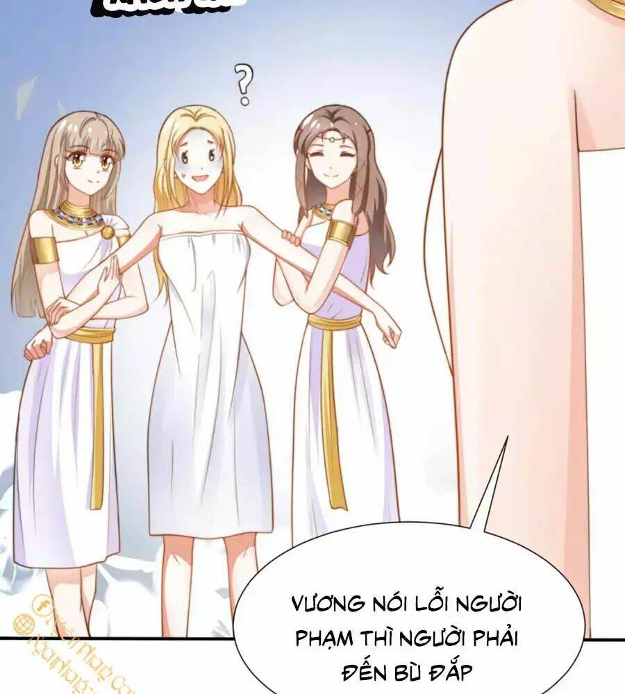 Sủng Hậu Của Vương: Chapter 25