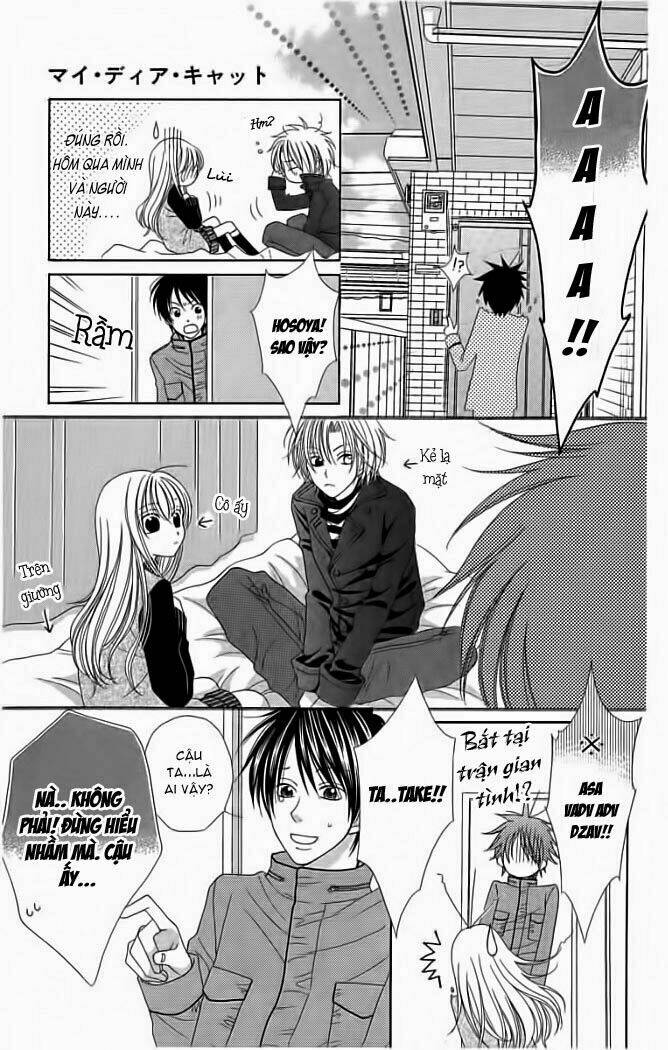 My Dear Cat: Chapter 1