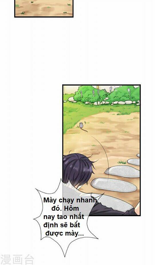 Hoa Giai Vân Mộng: Chapter 1