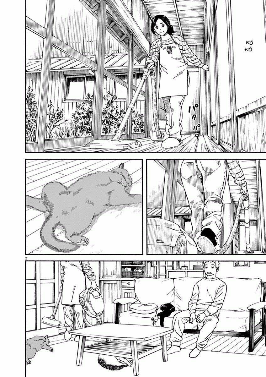 Neko No Otera No Chion-San: Chapter 6
