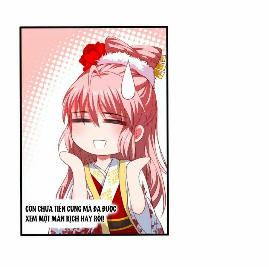 Khuynh Thế Y Phi Muốn Bỏ Chồng: Chapter 5