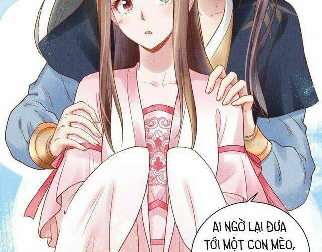 Thịnh Sủng Y Phi Chi Dao Quan Truyện: Chapter 41