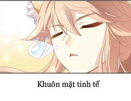 Dưới Móng Vuốt Mèo: Chapter 10