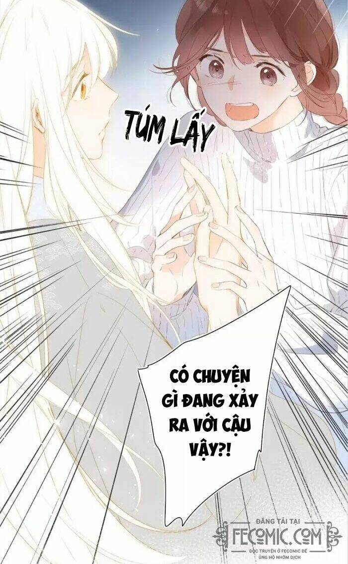 Sos! Tôi Đã Yêu Một Con Sâu Bướm (Phần 2): Chapter 24