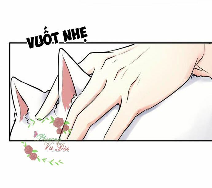 Ảnh Đế Cầu Sủng: Chapter 2