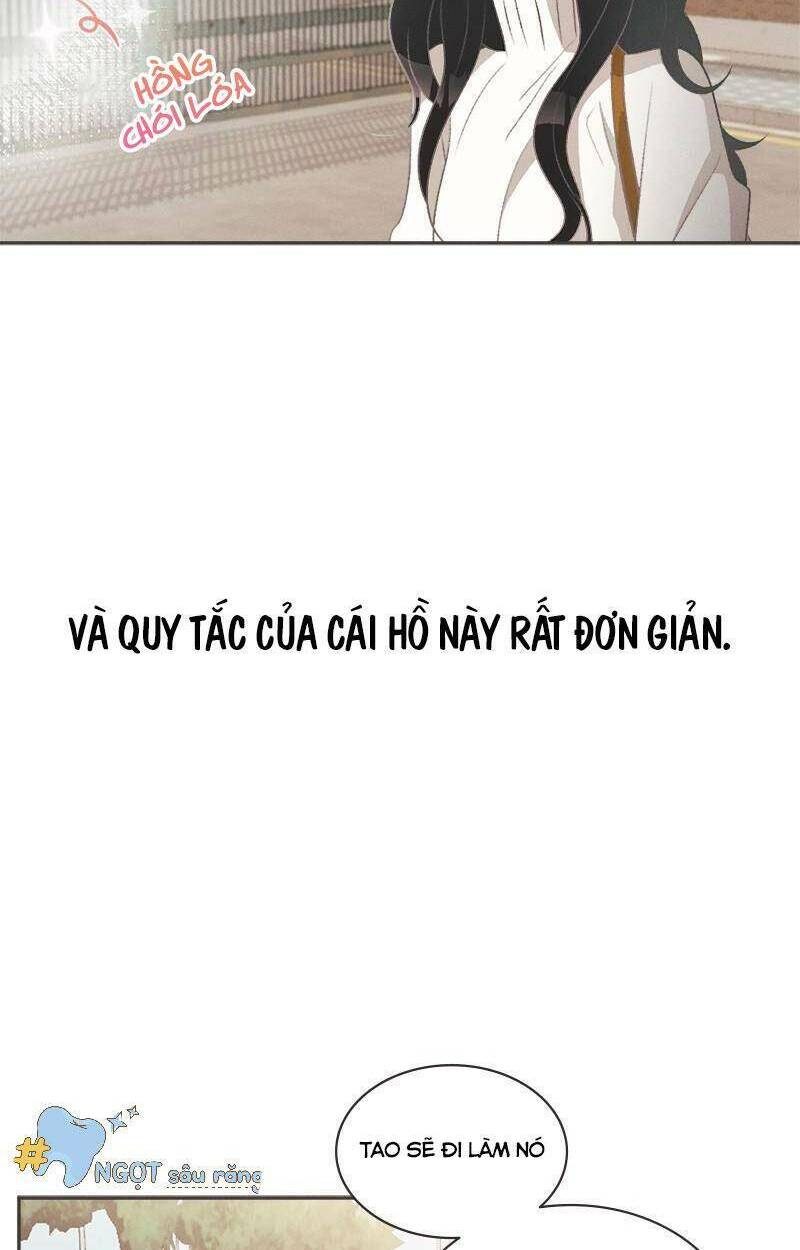 Giấc Mộng Đêm Hè: Chapter 1.1