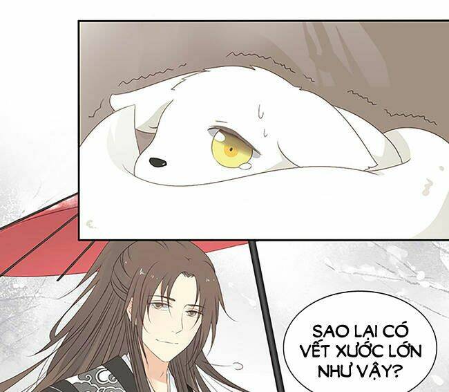 Quy Tự Dao: Chapter 41