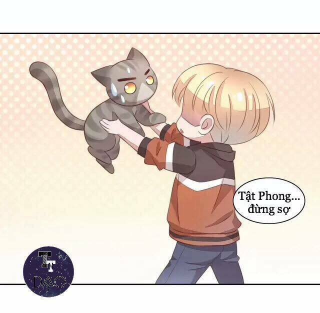 Dưới Móng Vuốt Mèo: Chapter 20