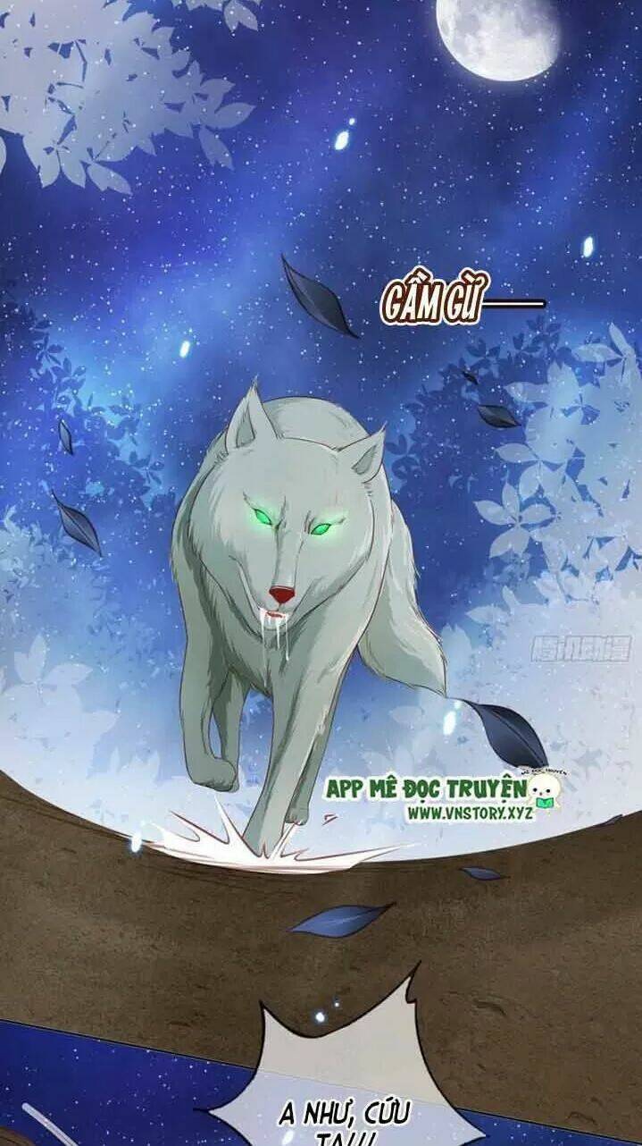 Nàng Trở Thành Bạch Nguyệt Quang Của Vương Gia Bệnh Kiều: Chapter 29