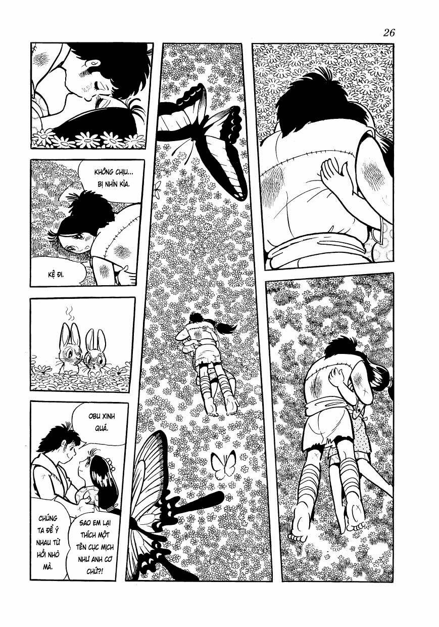 Chim Lửa: Chapter 78