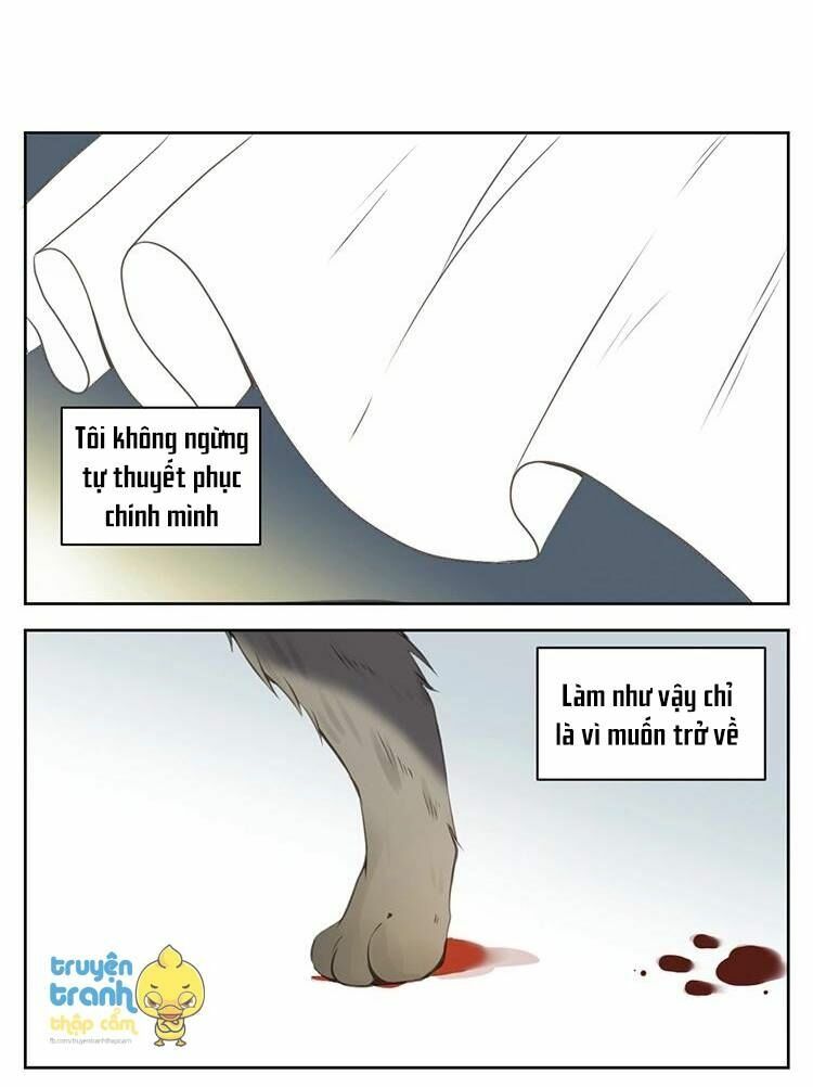 Cứu mạng ! Loài mèo thống trị thế giới rồi !: Chapter 26