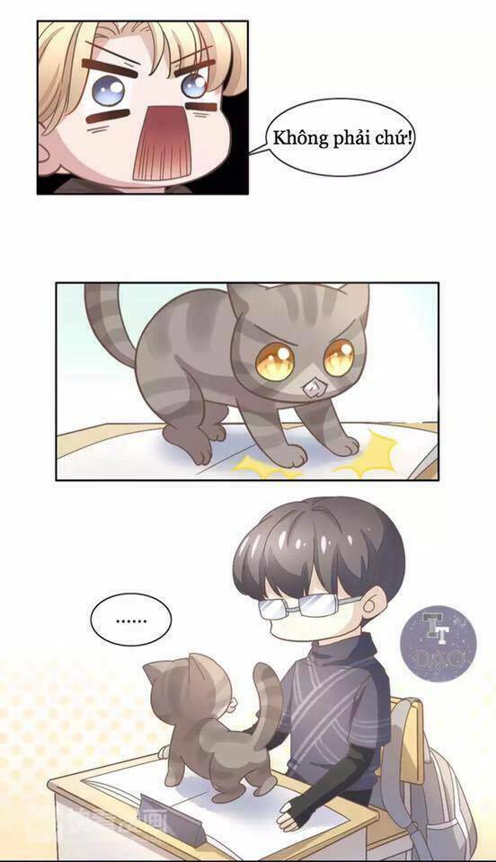 Dưới Móng Vuốt Mèo: Chapter 21
