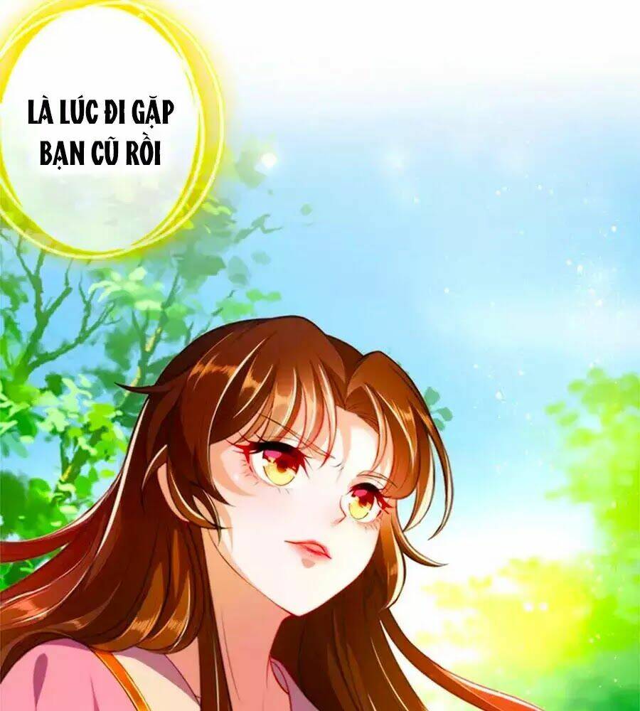 Phụng Lâm Thiên Hạ: Đệ Nhất Mỹ Nữ: Chapter 0