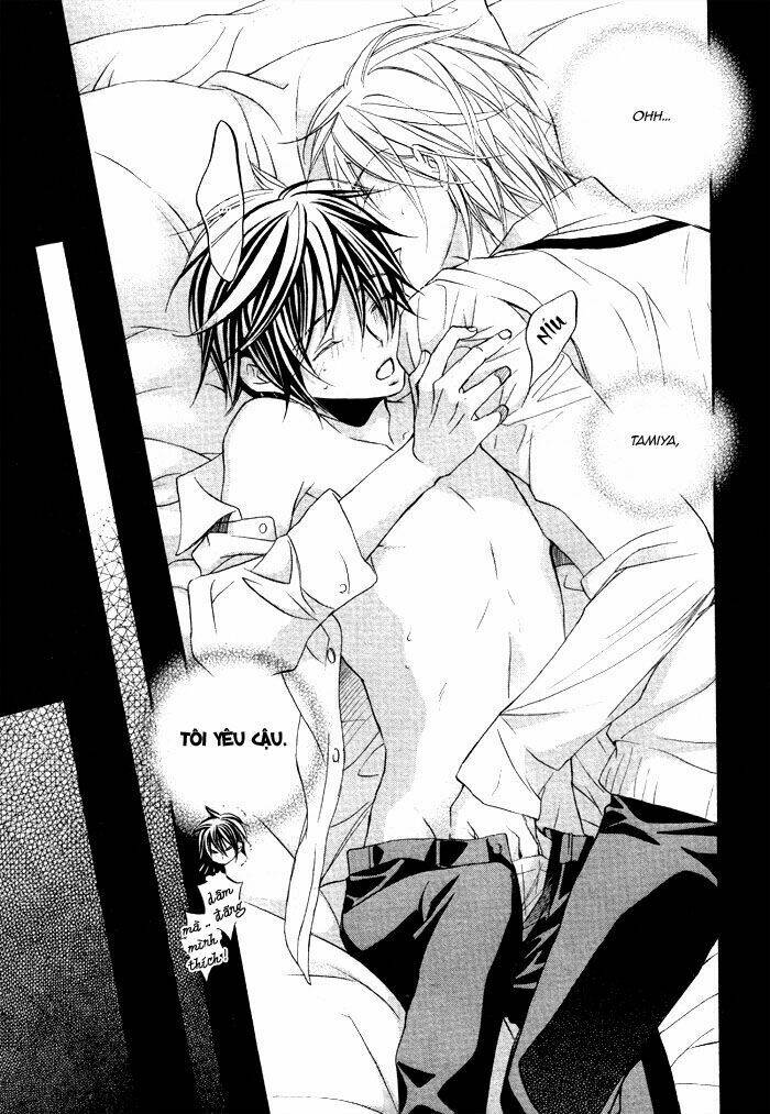 Chuyện Tình Của Toono Và Tamiya: Chapter 14