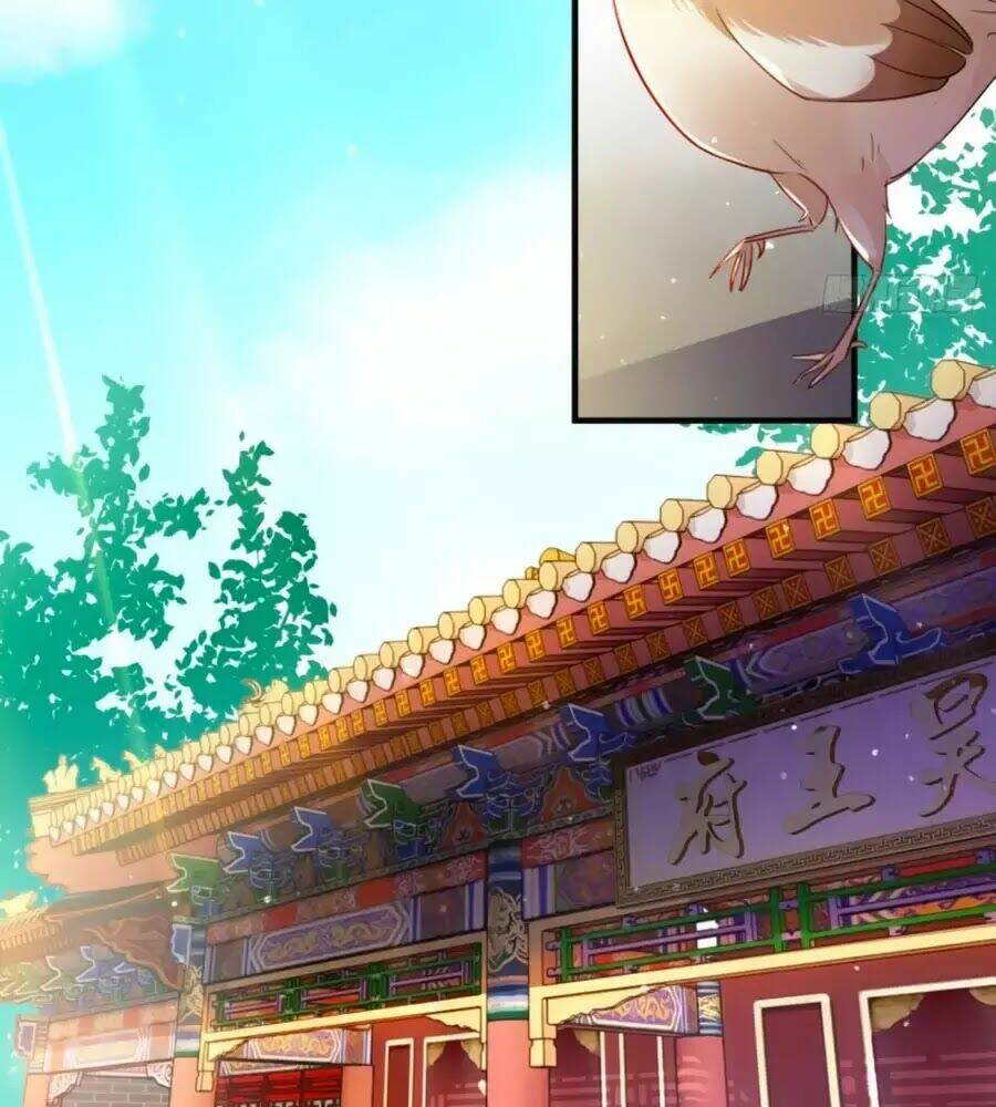 Vương Phi Có Chút Nghịch Ngợm: Chapter 63