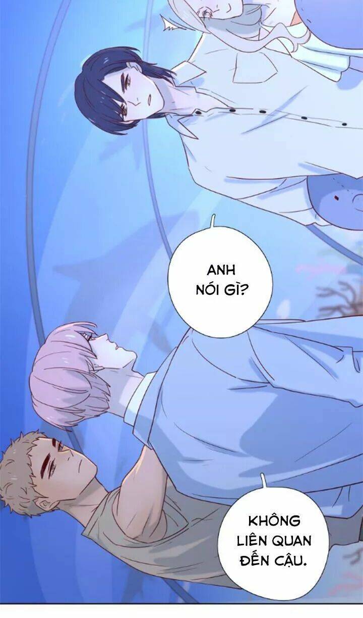 Cạm Bẫy Ngọt Ngào: Chapter 86