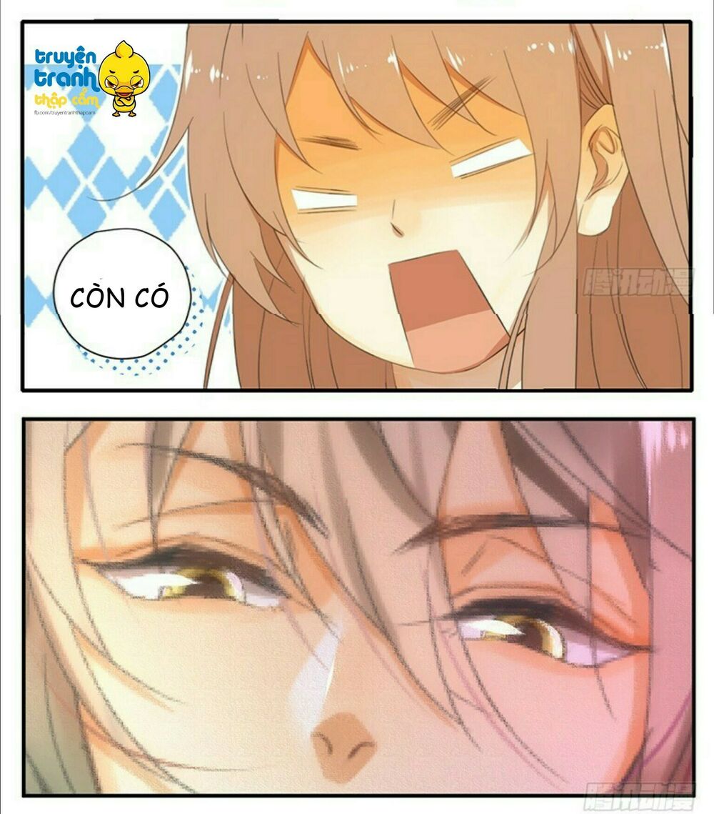 Cứu mạng ! Loài mèo thống trị thế giới rồi !: Chapter 35