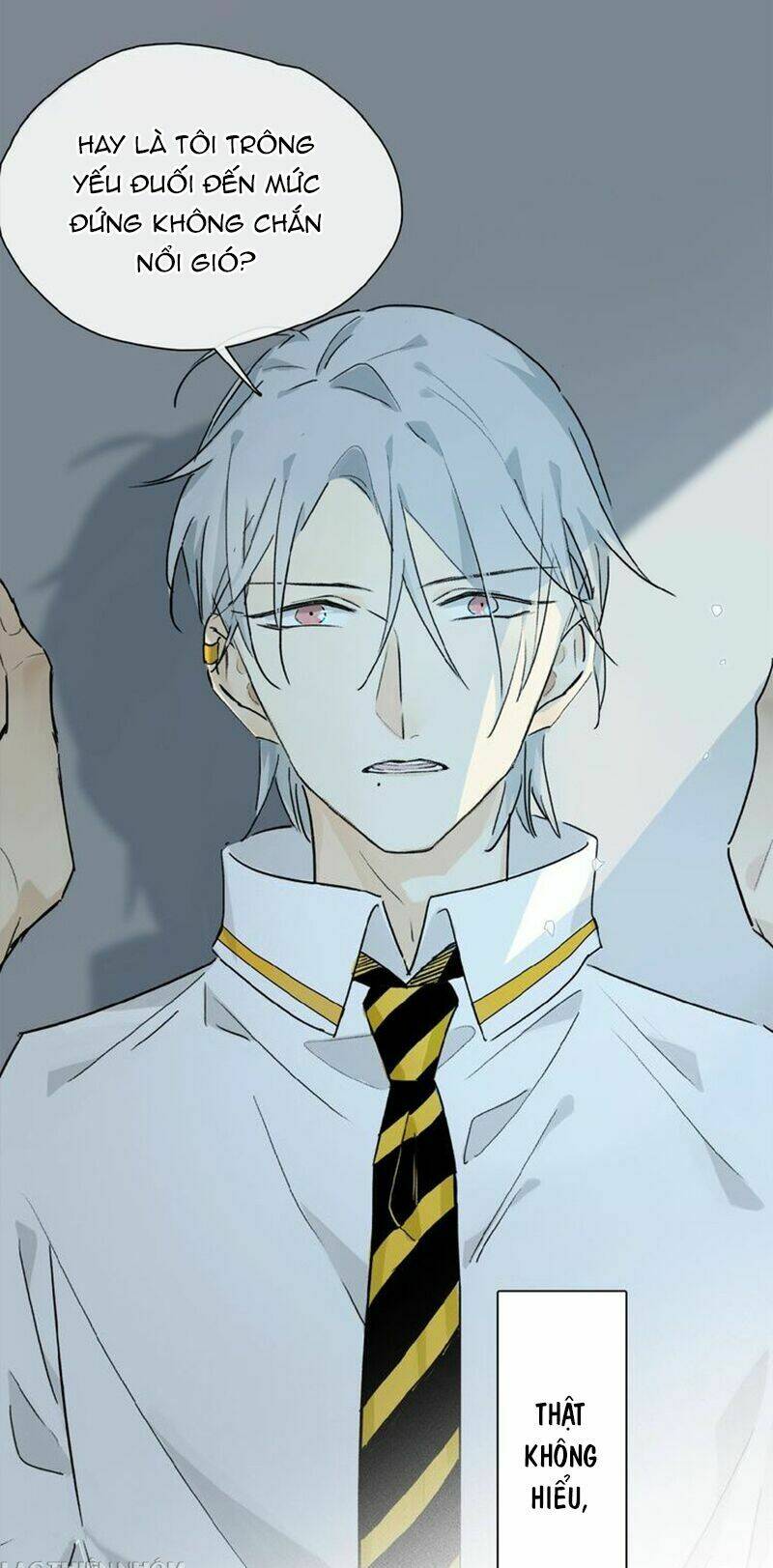 Phép Tắc Trường Ogus: Chapter 28