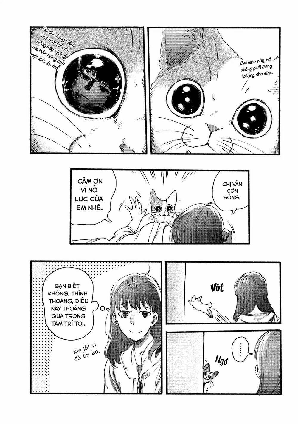 Nekodamari: Chapter 4