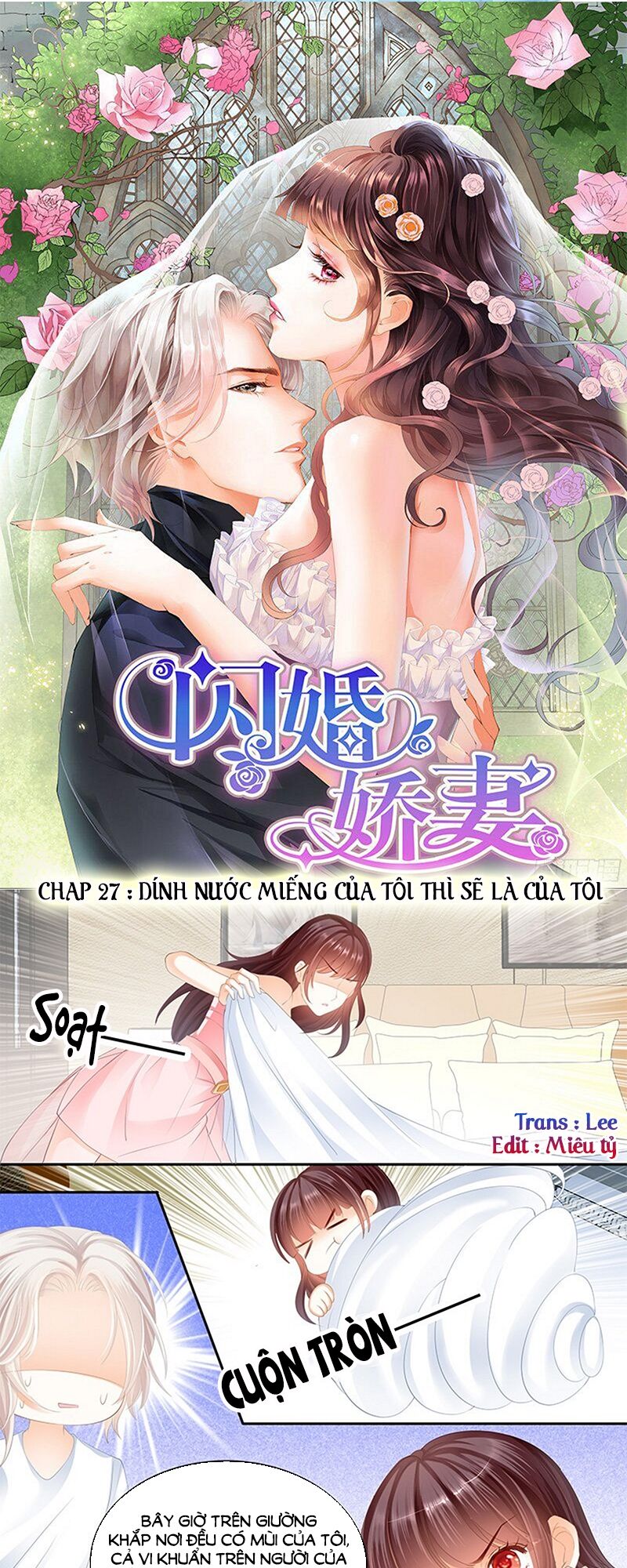 Thiểm Hôn Kiều Thê: Chapter 27