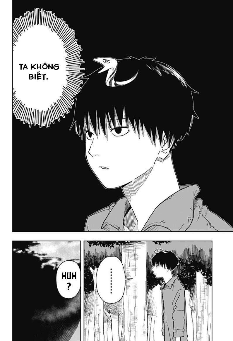 Stage S: Chapter 3