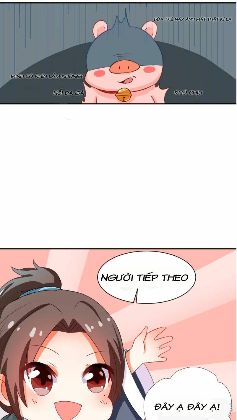 Đệ Tử Của Ta Là Heo: Chapter 2