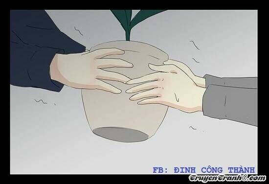 Hạt Giống Tình Yêu: Chapter 4