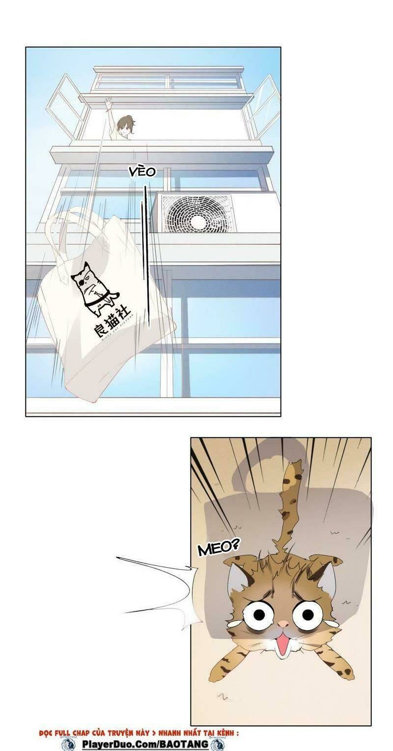 Thập Nhị Hắc Miêu: Chapter 1