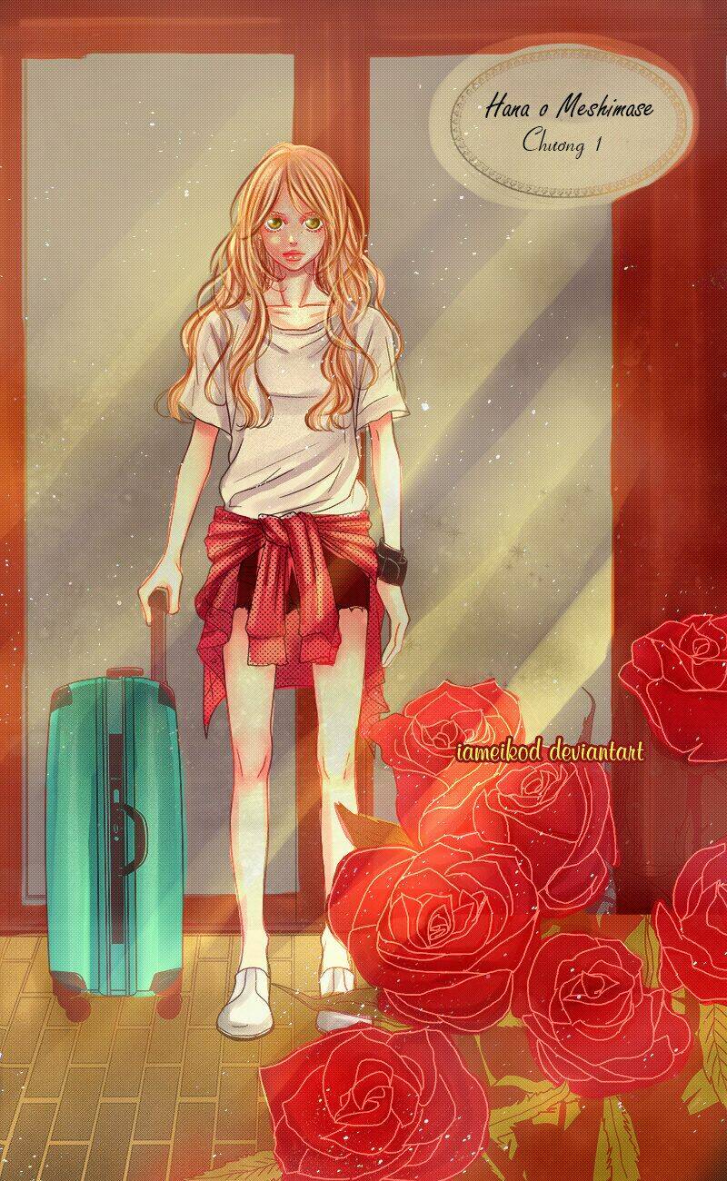 Đóa Hoa Năm Ấy: Chapter 1