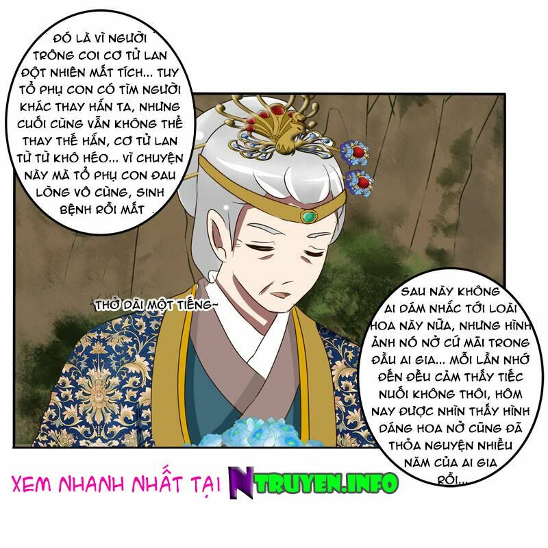 Thông Linh Phi: Chapter 65.5