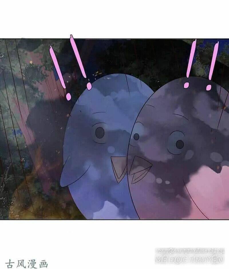 Băng Sơn Học Trưởng Không Được Chọc: Chapter 59.2