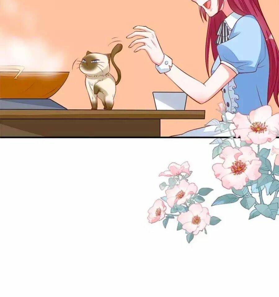 Thịnh Thế Hoa Sủng: Tôi Bị Bắt Làm Tù Binh: Chapter 19