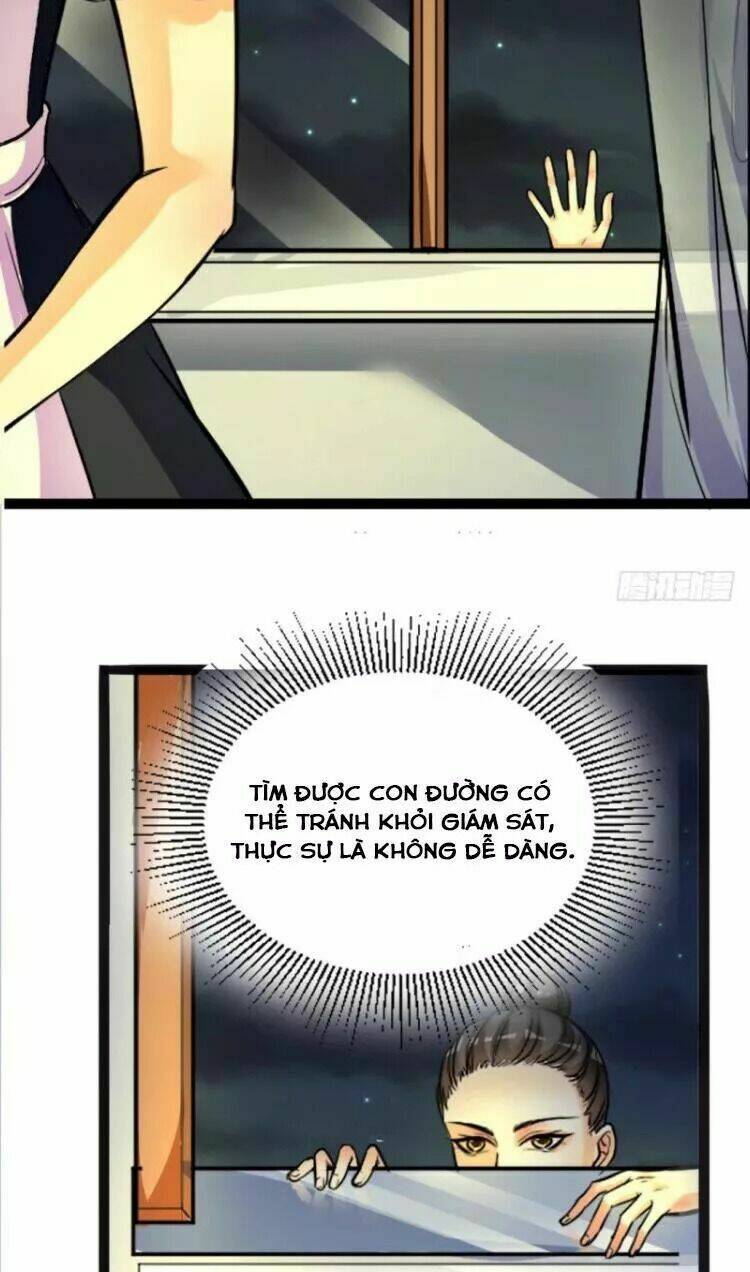 Đế Vương Sợ Vương Phi Muốn Sở Hữu Thiên Hạ: Chapter 2