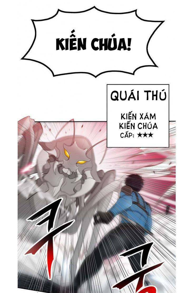 Tôi Tự Động Săn Một Mình: Chapter 14