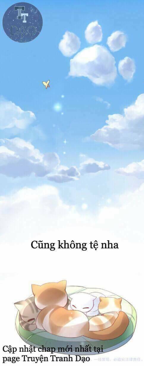 Dưới Móng Vuốt Mèo: Chapter 1