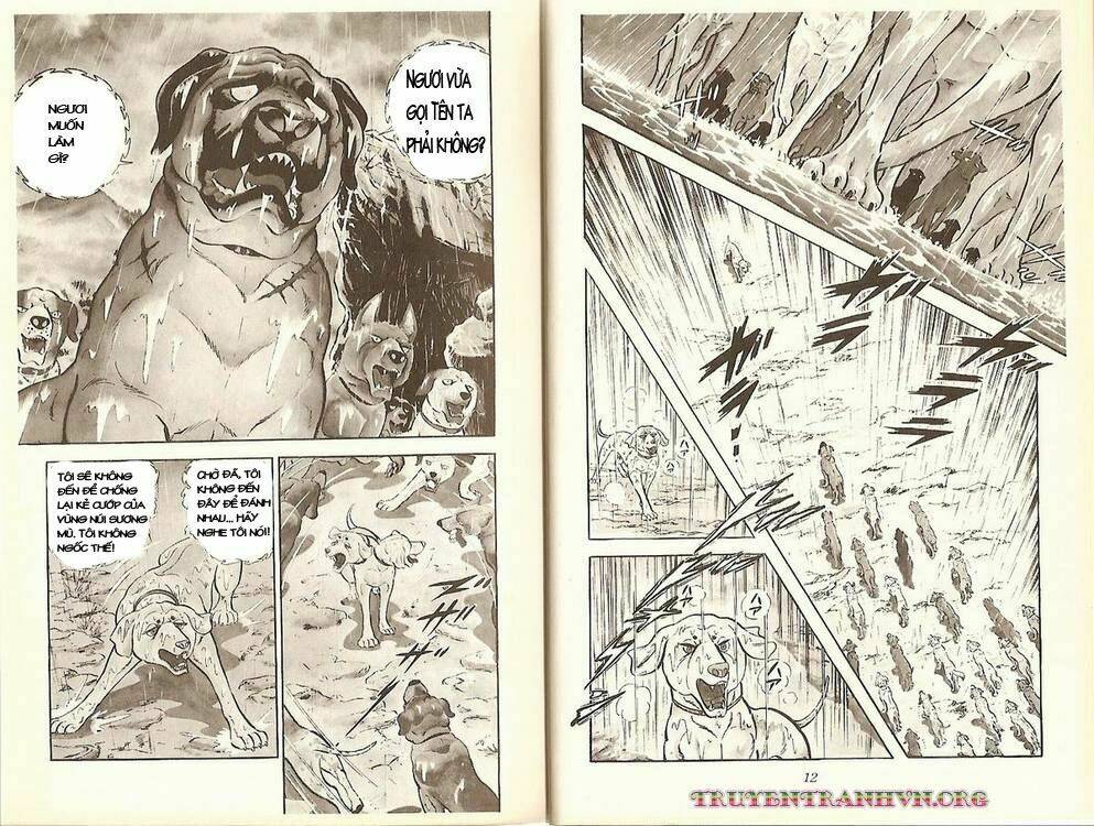 Chú Chó Có Nghĩa - Ginga Nagareboshi Gin: Chapter 13