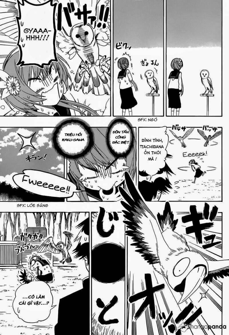 Tình Yêu Ngang Trái: Chapter 142