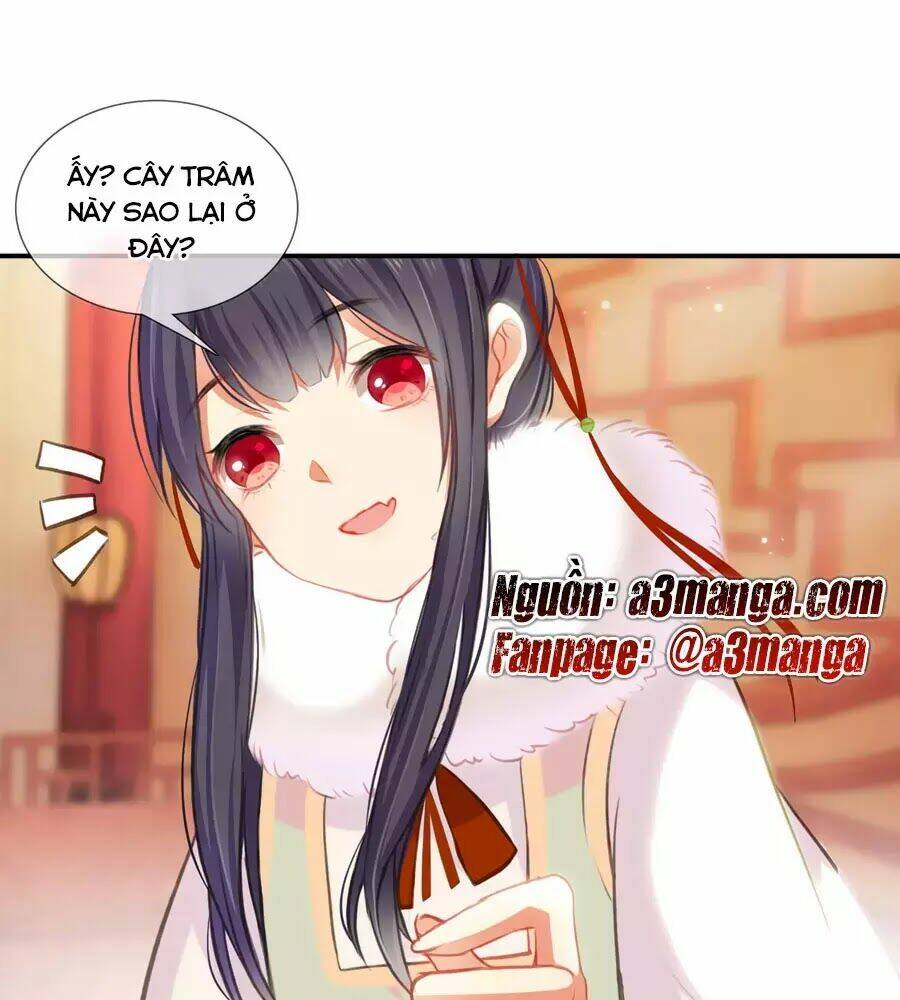 Trọng Sinh Chi Đích Nữ Bất Thiện: Chapter 4