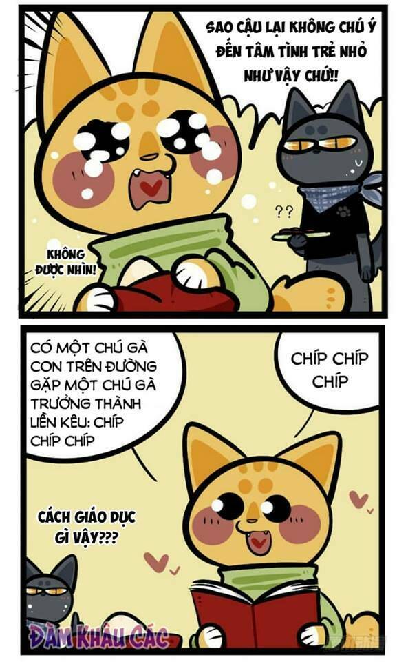 Đời Không Như Mình Tưởng: Chapter 41