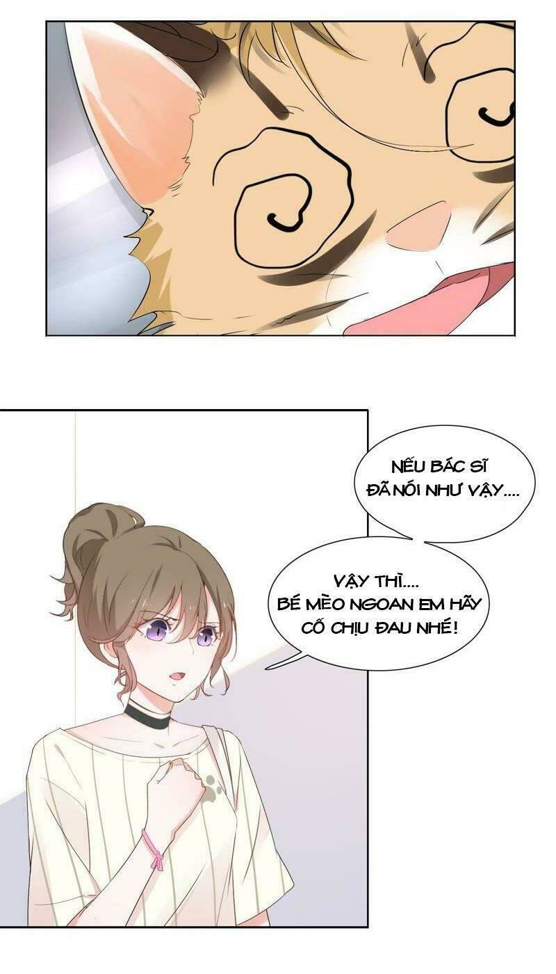 Thập Nhị Hắc Miêu: Chapter 1