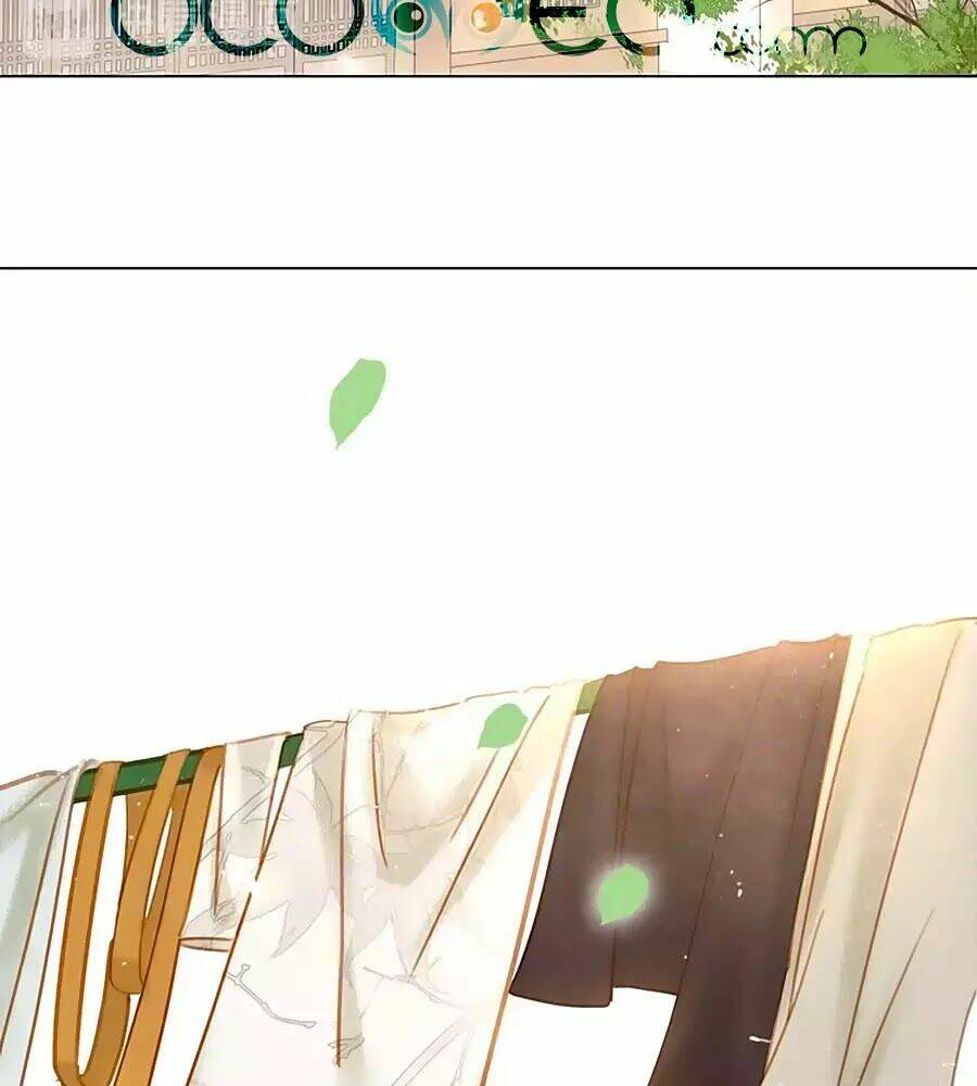 Tiểu Sư Phụ, Tóc Giả Của Ngài Rơi Rồi!: Chapter 8