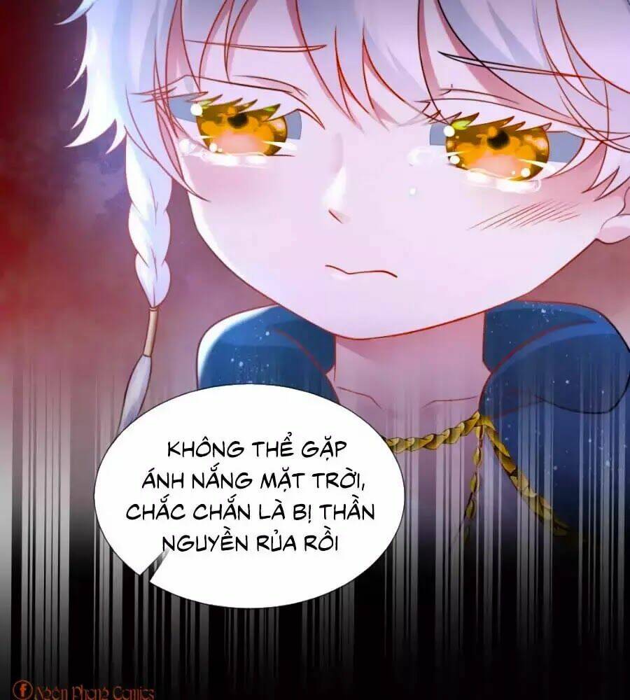 Sủng Hậu Của Vương: Chapter 19