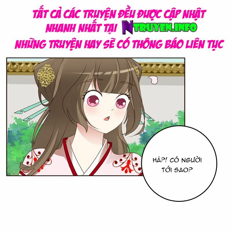 Thông Linh Phi: Chapter 205.5