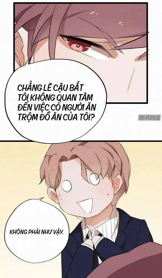 Thiên Kiều Bách Mị: Chapter 2