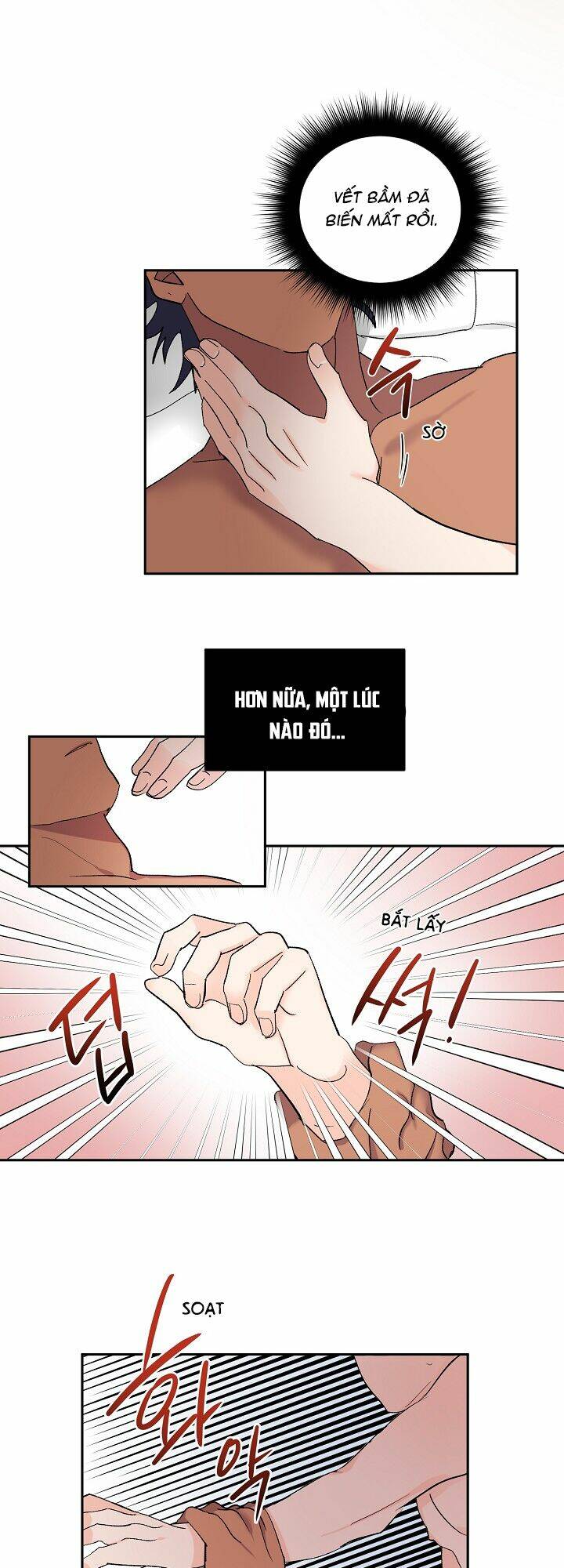 Kẻ Cắp Mặt Trăng: Chapter 19