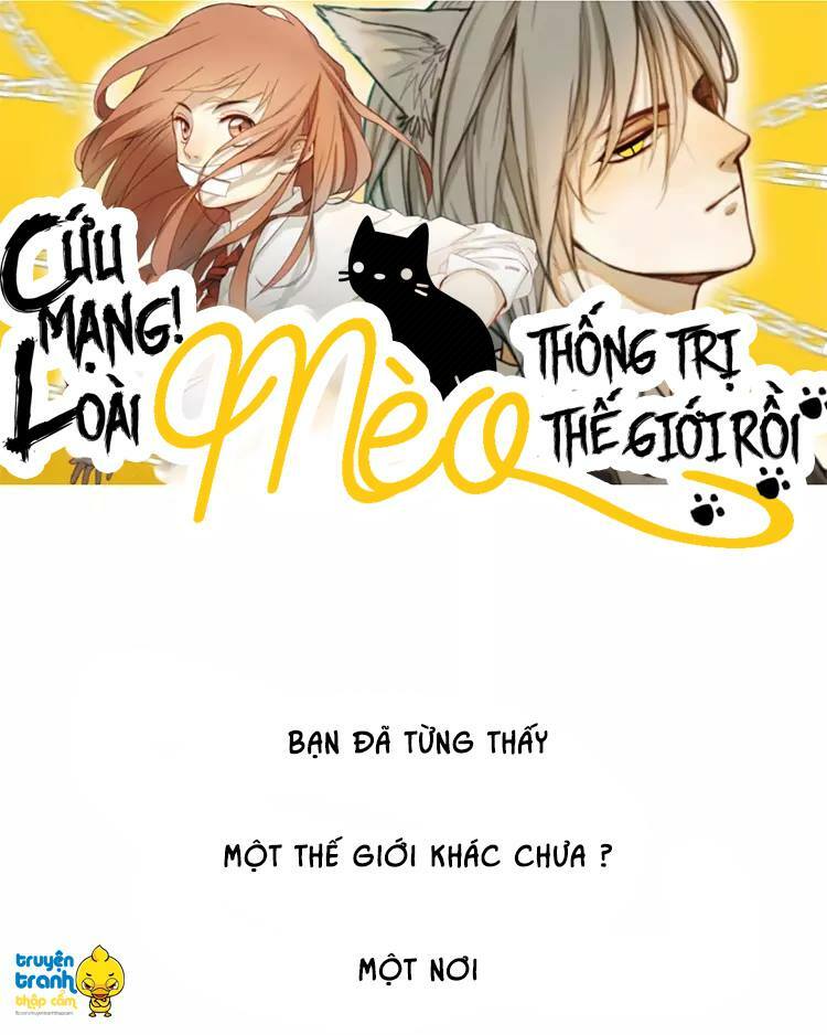 Cứu mạng ! Loài mèo thống trị thế giới rồi !: Chapter 1