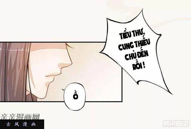 Tuyệt Thế Luyện Đan Sư: Chapter 27